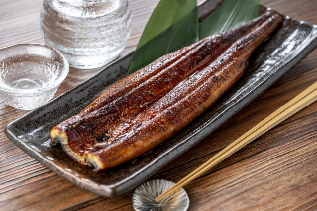 鰻重1人前