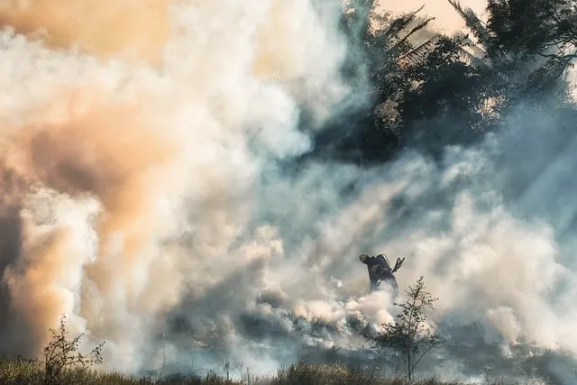 鎮火した山火事