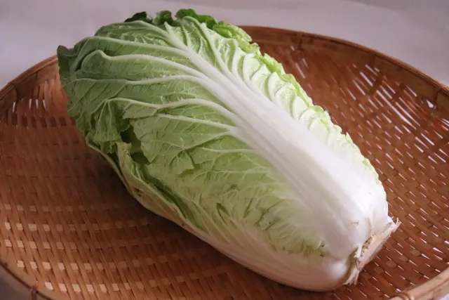 苦い白菜