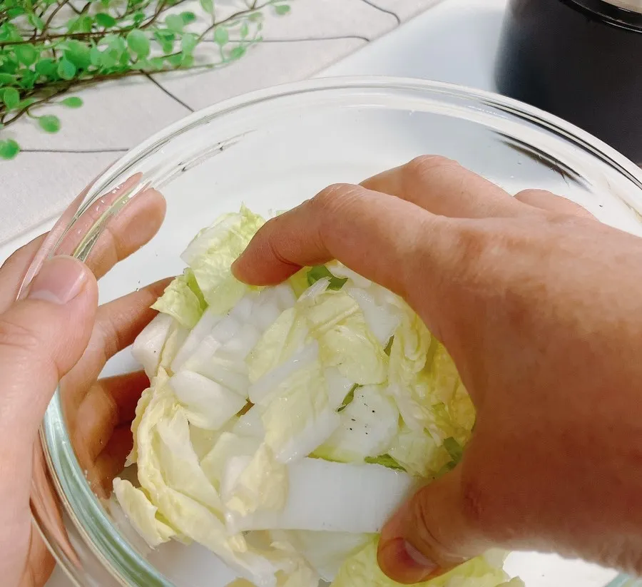 白菜の塩もみ