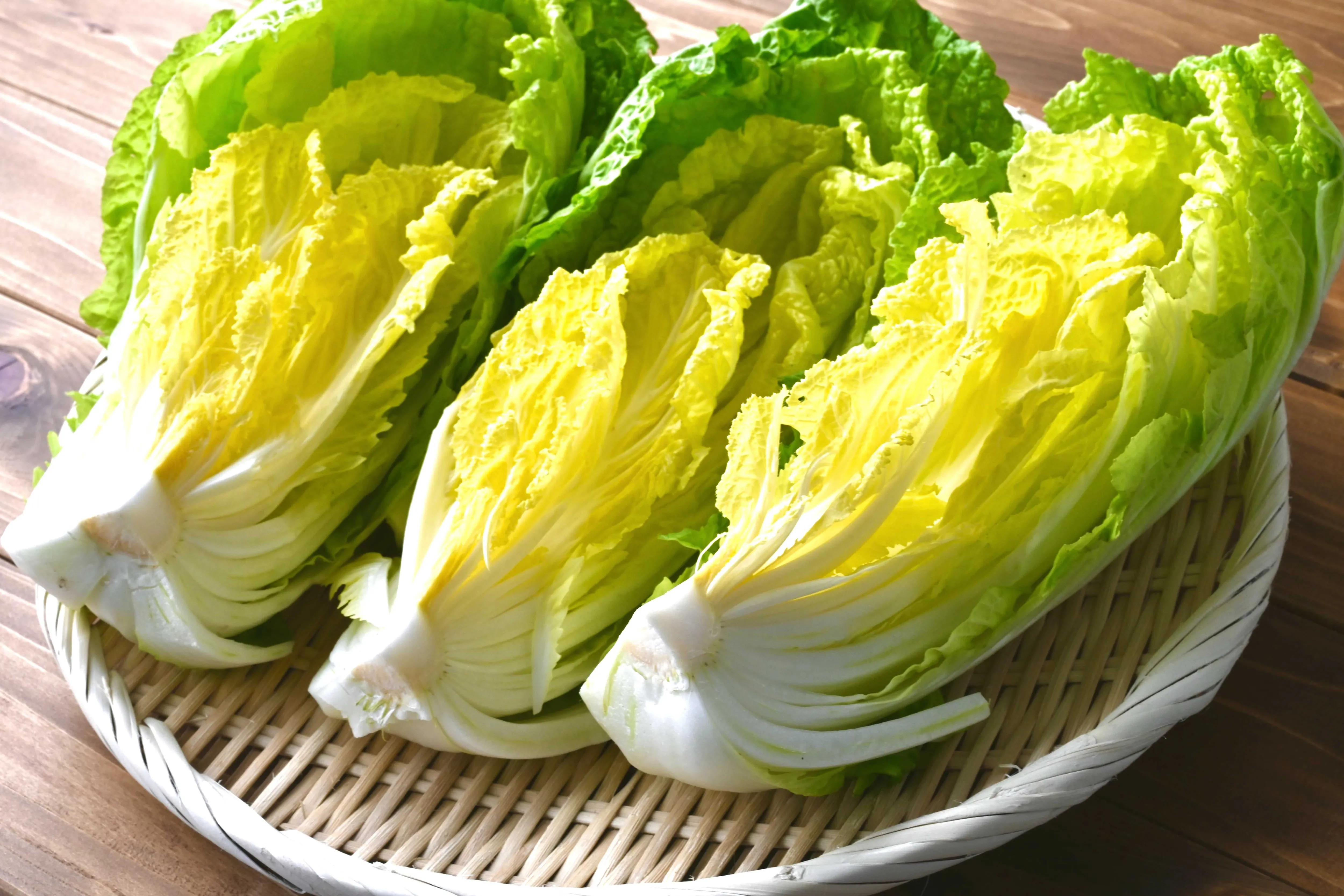 白菜を干す