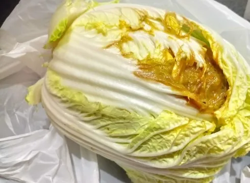 腐った白菜