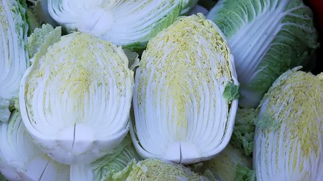 芯に切れ目を入れた白菜