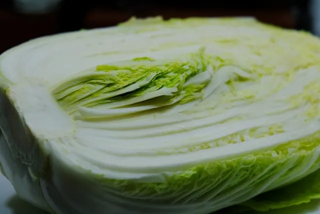 鮮度が落ち中心が盛り上がった白菜