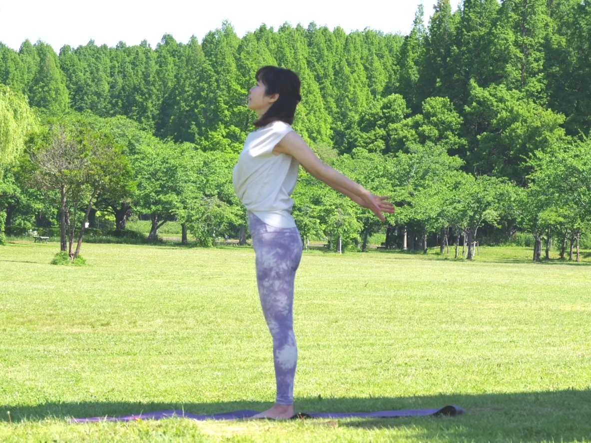 はばたきのポーズ