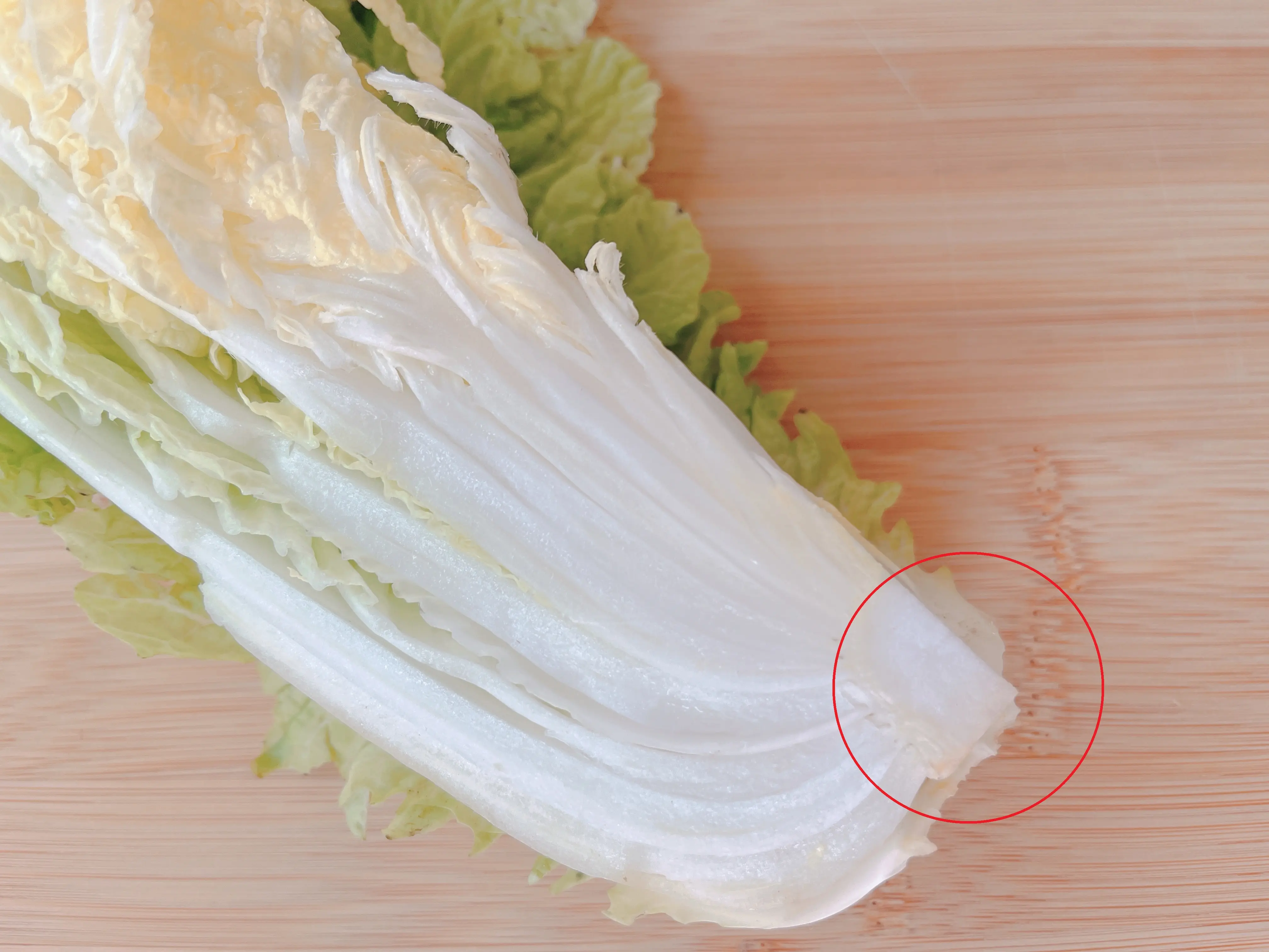 白菜の株元