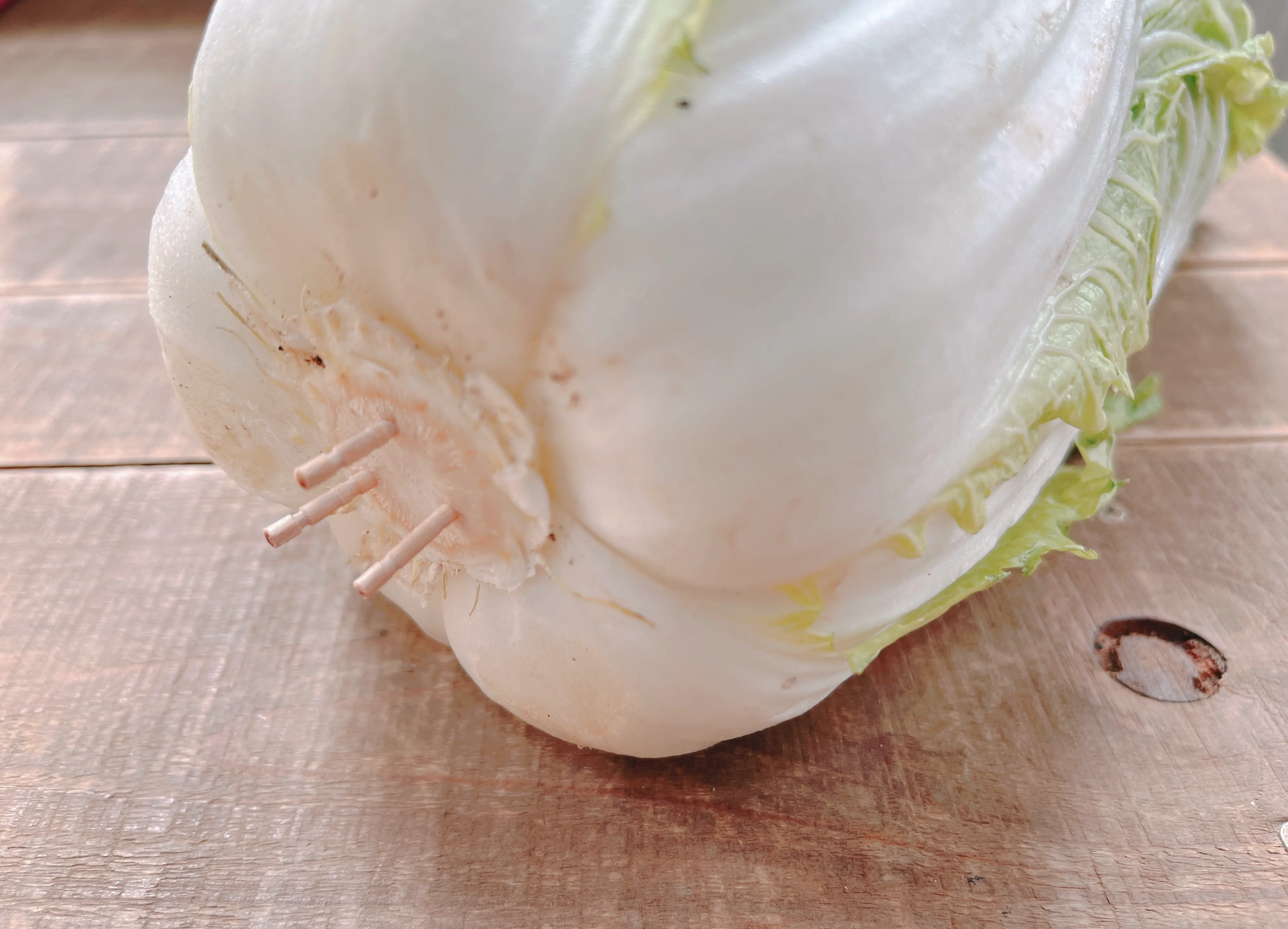 白菜につまようじを刺す